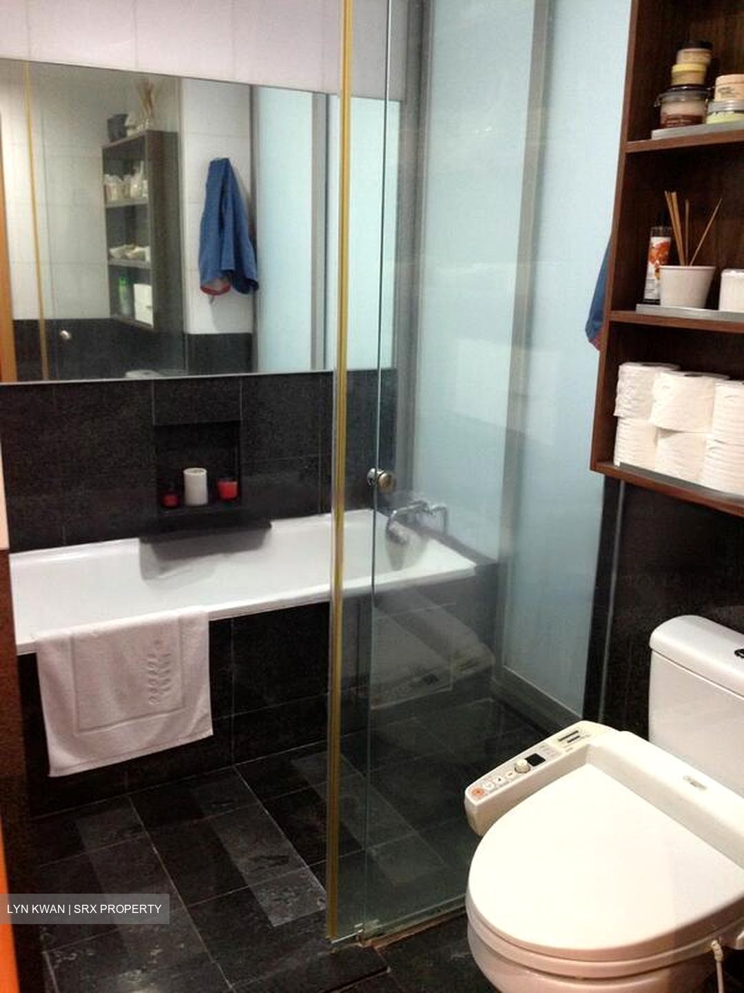 The Levelz (D10), Condominium #463443851